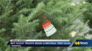 Boy Scout troops begin Christmas tree sales