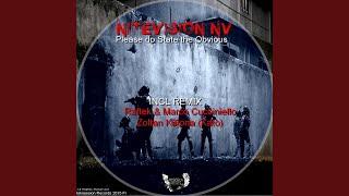 Please Do State The Obvious (Original Mix)