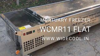 Mortuary cooler cabinet/ Mortuary freezer  /  Mortuary chamber  / Dead Body Freezer 9033088851