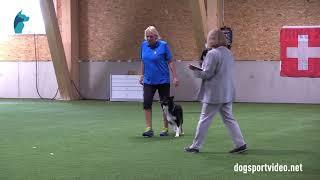 Finals - Maria Brandel + Bryggarskogens App / Border Collie - Sweden