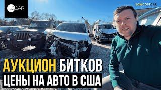 Обзор Битков на Аукционе | Цены на Авто в США 2025 | Честный Обзор | Доставка по всему Миру