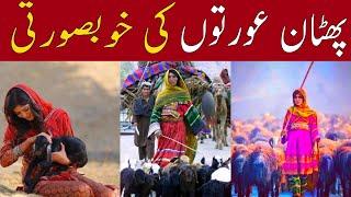 Beauty of Pathan woman | khobsorat pathan oarat | Village Tv.