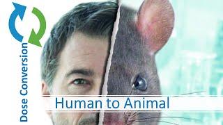 G T-3, How to Calculate Human Equivalent Animal Dose in Pre-clinical studies? Gen.Tox, Module 3