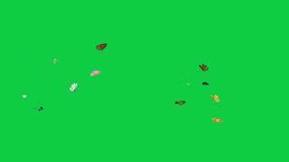 [4K] Butterflies Green Screen