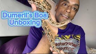 Dumeril’s Boa Unboxing #snaketalk #reptiles #pets #boa #dumerilsboa #boas #snake #unboxing