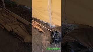 Temu shelter, cheap alternative. junk? #temu #shelter #shorts #reels #top