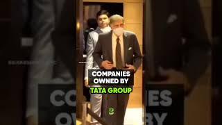 Tata Group Own More Than 30 Companies Across The World. #shorts #tatagroup #companies