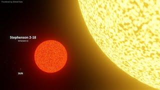 Biggest Star vs Quasi-star Size Comparison | 3d Animation comparison 4k (60 fps)