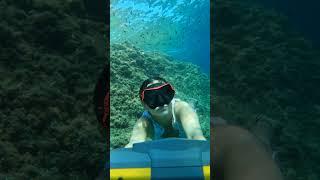 Pov : best summer with Sublue #sublue #underwater #scubadiving #jump