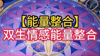 【能量整合】双生情感能量整合#爱情 #感情 #星座 #情感 #塔罗