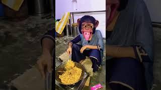 #cute #funny Bandar  mama  trending song  varal