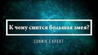 К чему снится большая змея - Онлайн Сонник Эксперт