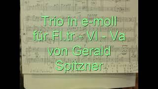 TRIO in e minor (Fltr - V -l Va) by Gerald Spitzner