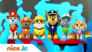 PAW Patrol Latino América | Official Theme Song (Music) | Nick Jr.