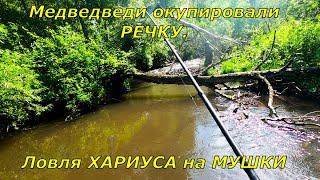 Ловля ХАРИУСА/Рыбалка-Медвежий РАЙ/Сказали вода мутная ,не берет рыба!Наловили,засолили, да еще как!