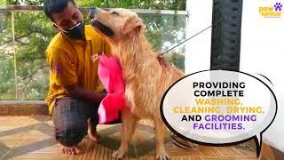 PawSpace Doorstep Pet Grooming