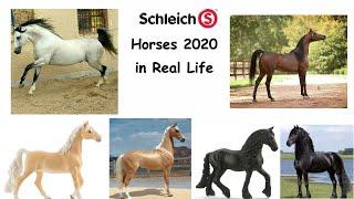 Schleich Horses 2020 in Real Life