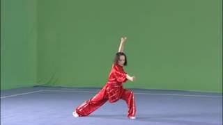 ELEMENTARY ROUTINE TAOLU - CHANG QUAN  GROUP C