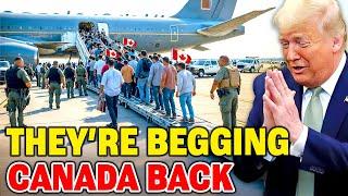 10 Desperate Moves U.S. States Are Making To Get Canadians Back In 2025