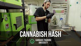 How to Remove Butane From Cannabis Hash - Cannabis Training University-BHO-Butane Hash Oil