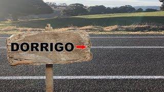 Yowie / Bigfoot Sighting (Audio Report #115), near Dorrigo, New South Wales