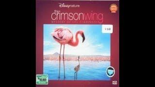 Opening to The Crimson Wing: Mystery of the Flamingos 2010 VCD