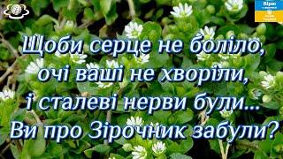 Щоби серце не боліло, очі ваші не хворіли, і сталеві нерви були... Ви про Зірочник забули?