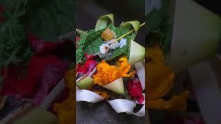 The HIDDEN GEM of Ubud: Kanto Lampo Waterfall - Bali, Indonesia Travel SHORT