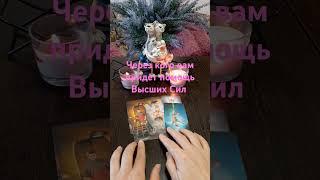 Через кого придет помощь вам от  Высших Сил #егочувства #таро #гадание #tarotube