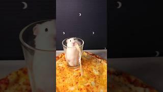 Hamster vs. Spaghetti!  Fastest Eater Ever?! #HamsterLife #SyrianHamster #FunnyAnimals