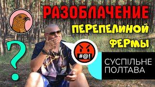 РАЗОБЛАЧЕНИЕ ПЕРЕПЕЛИНОЙ ФЕРМЫ | СУСПІЛЬНЕ ПОЛТАВА