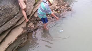 Mancing Julit di Tukad Bali, empat bersaudara dapat julit besar.