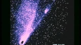 The Tails of Comet Halley