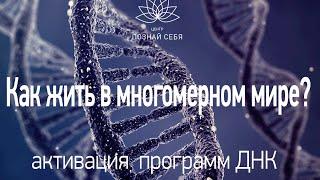 Как жить в многомерном мире? Активация ДНК.