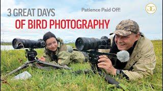 PATIENCE PAID OFF | 3 Days Of Bird Photography