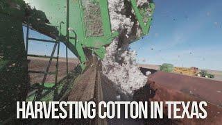 2024 Texas Cotton Harvest - It Was a Tough Day (Day 3)