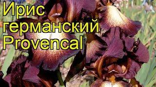 Ирис германский Провансаль. Краткий обзор, описание характеристик iris germanica Provencal