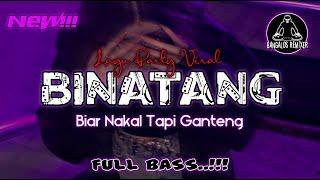 LAGU PARTY 2022  BINATANG || Bangalos Rmx