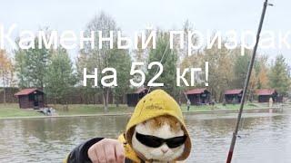 Каменный призрак на 52 кг! Как поймать Каменного призрака. My Fishing world