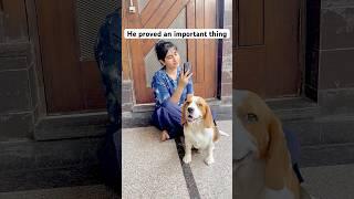 He proved an important thing #comedy #funny #laugh #cute #pets #talkingdog
