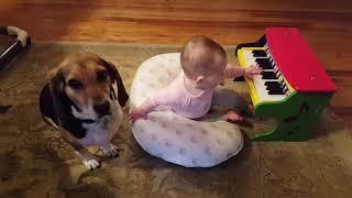  Buddy and  Baby write a song! 