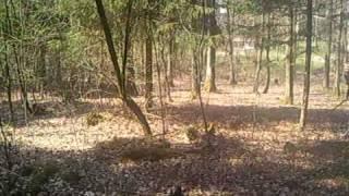 funny bushman 2