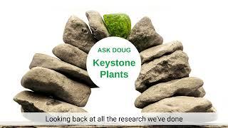 Keystone Plants