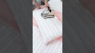 Top Cleaning Expert Reveals BEST Mite Removal Techniques For A Healthier Home