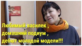 Любимый  василек , домашний подиум , дебют  молодой модели!!!