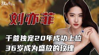 Roses in full bloom! Liu Yifei  who has been spoiled by michel platini for 20 years and has been se