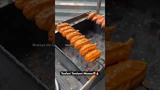 Toofani Tandoori Momos|| Indian Street Food