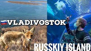 VLADIVOSTOK - RUSSKIY ISLAND (влог Владивосток- остров русский