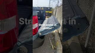 Ford Maverick Strut Assist!