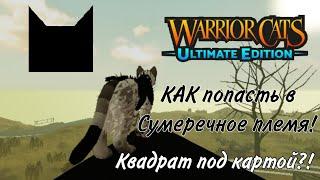 КАК попасть в Сумеречное Племя!/Квадрат под картой warrior cats ultimate edition!